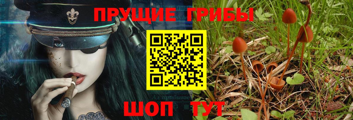 Псилоцибиновые грибы GOLDEN TEACHER  Вход с VPN  Апшеронск 
